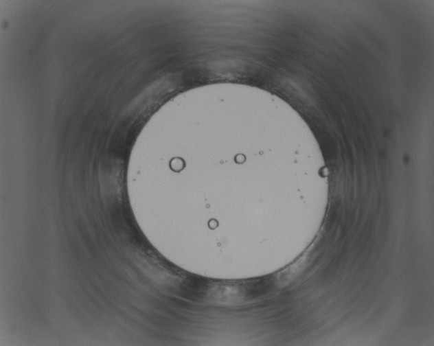 X0000062670174200601111253