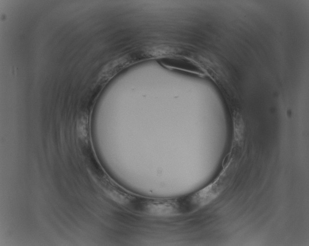 X0000062670175200601111253