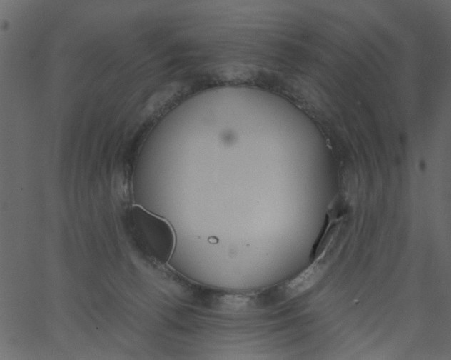 X0000062670176200601111253