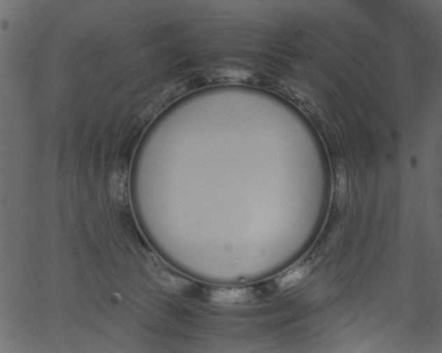 X0000062670177200601111253