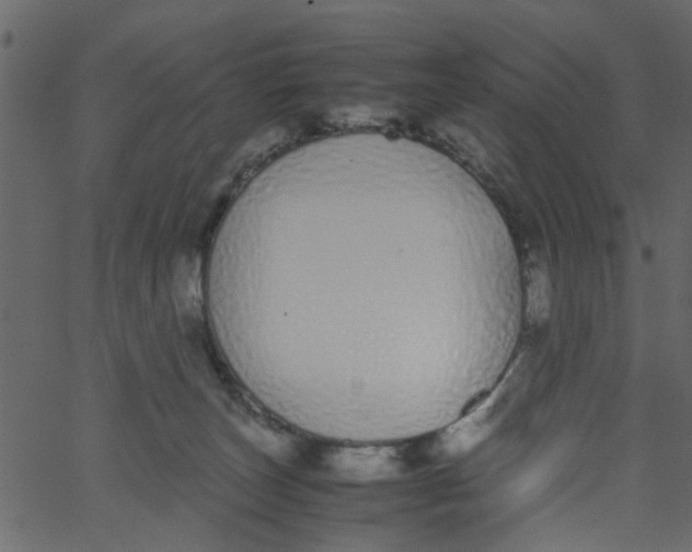 X0000062670179200601111253