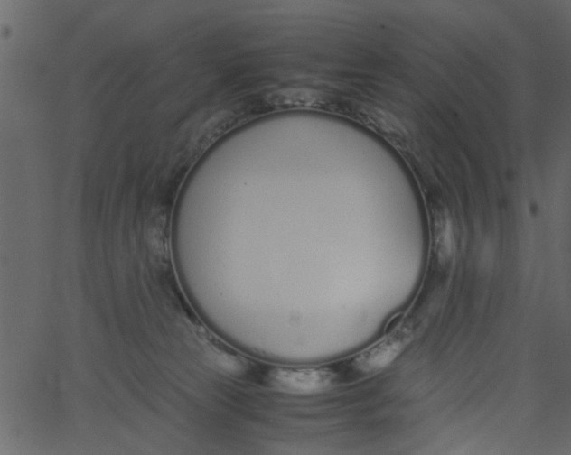 X0000062670181200601111253