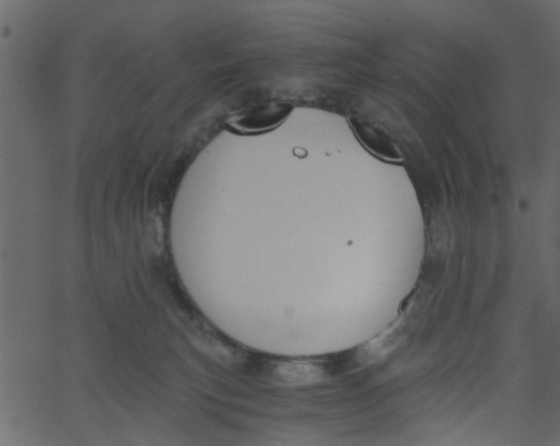 X0000062670183200601111253