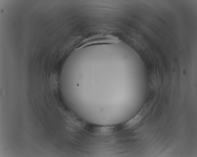 X0000062670184200601111253