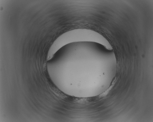 X0000062670186200601111253