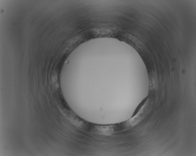 X0000062670187200601111253