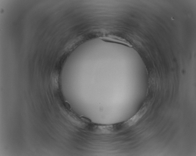 X0000062670188200601111253