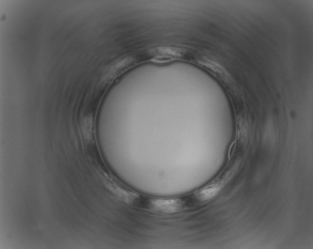 X0000062670189200601111253