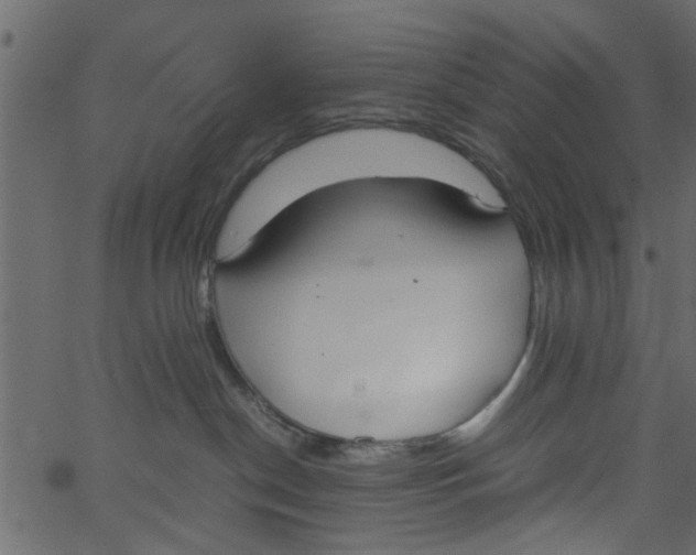 X0000062670190200601111253