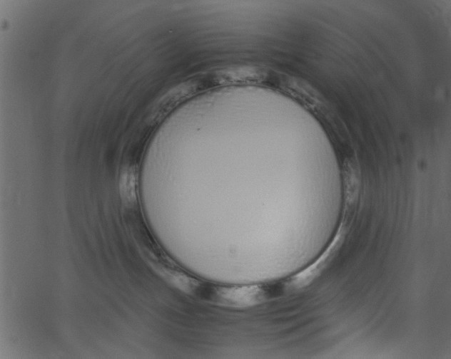 X0000062670191200601111253