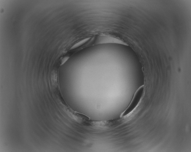 X0000062670192200601111253