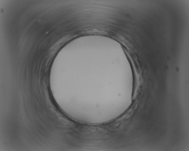 X0000062670193200601111253