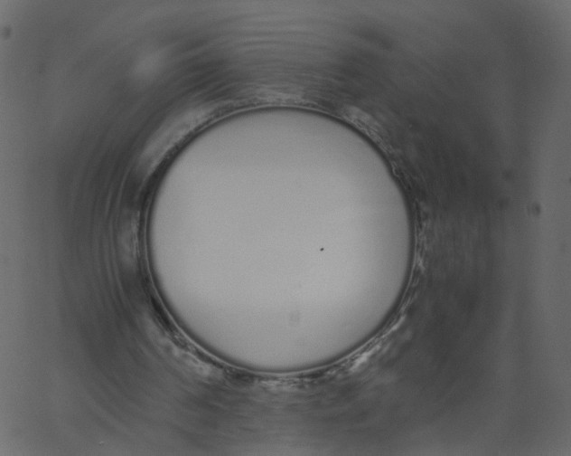 X0000062670194200601111253