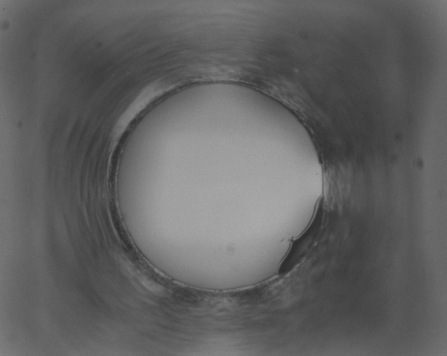 X0000062670195200601111253