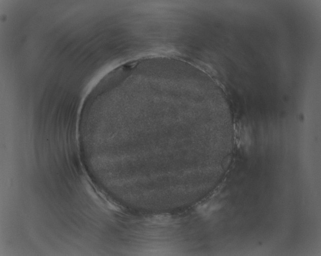 X0000062670196200601111253