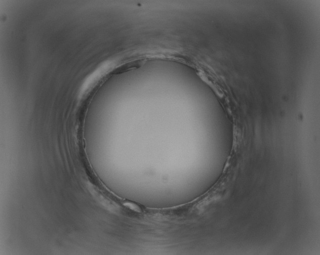 X0000062670197200601111253