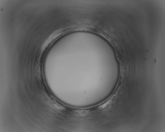 X0000062670198200601111253