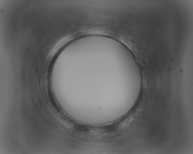 X0000062670199200601111252