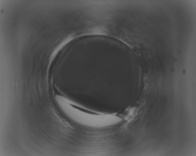 X0000062670200200601111252