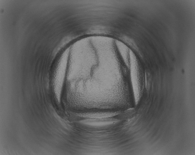 X0000062670204200601111252