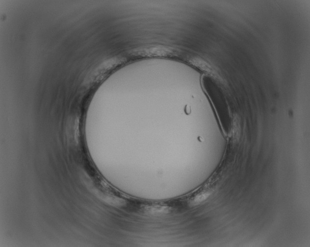 X0000062670206200601111252