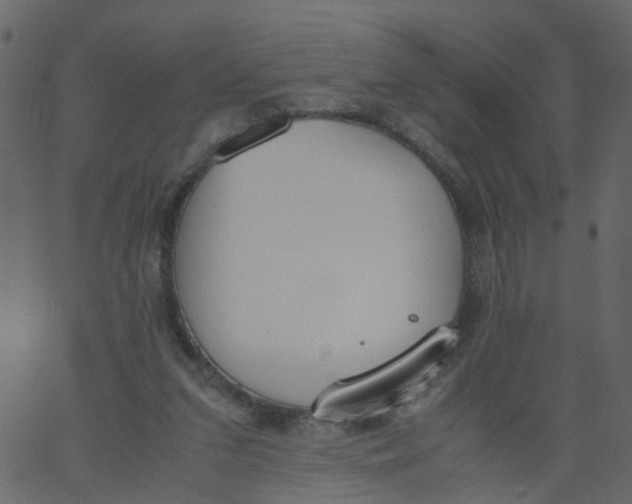 X0000062670207200601111252