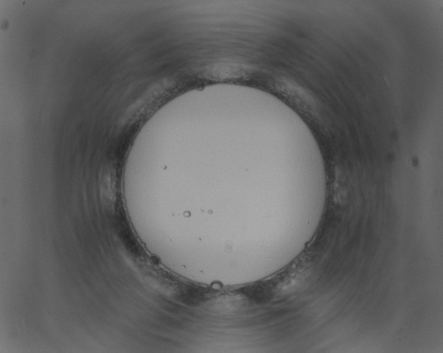 X0000062670210200601111252