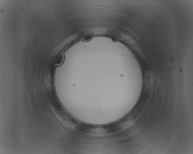 X0000062670212200601111252