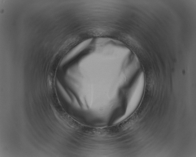 X0000062670214200601111252