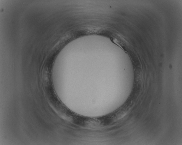 X0000062670215200601111252