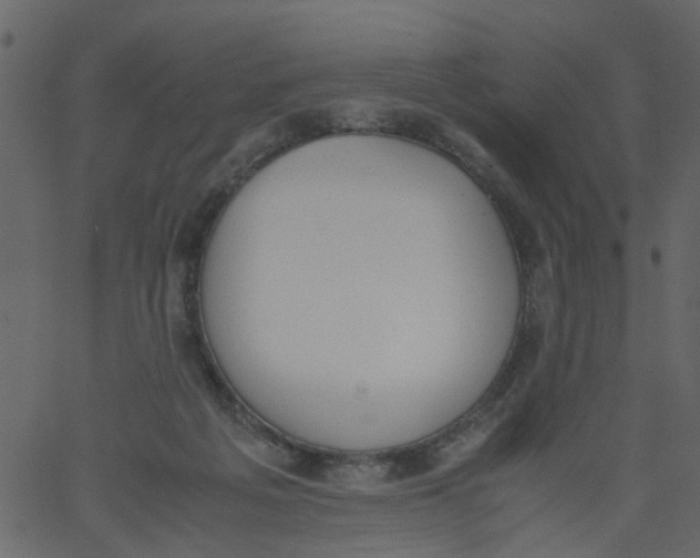 X0000062670217200601111252