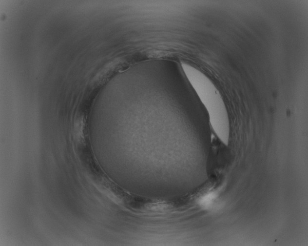 X0000062670219200601111252