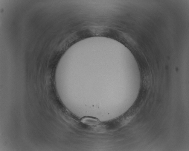 X0000062670221200601111252