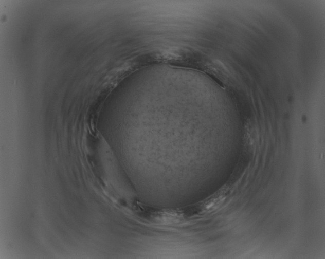 X0000062670223200601111252