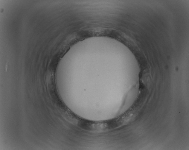 X0000062670225200601111252