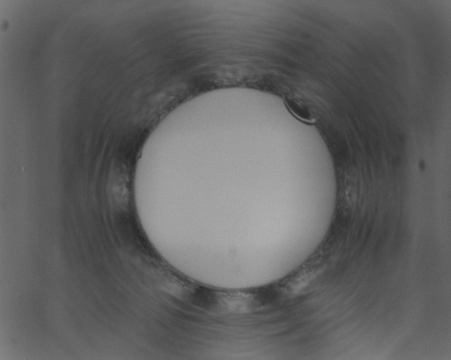 X0000062670226200601111252