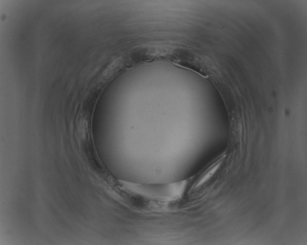 X0000062670227200601111252