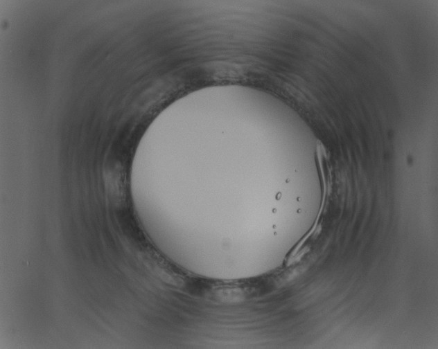 X0000062670228200601111252