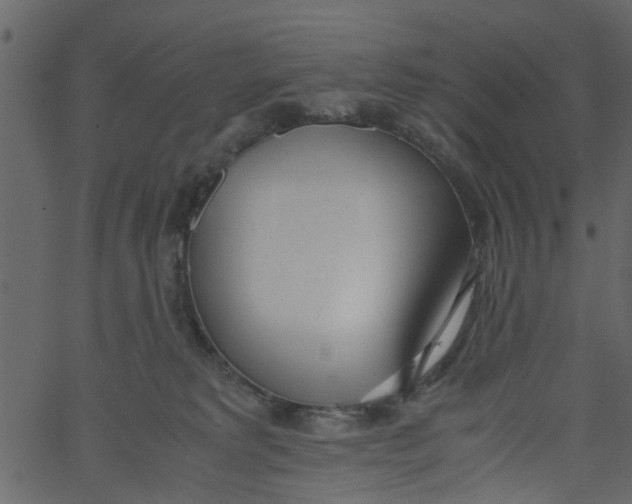 X0000062670229200601111252