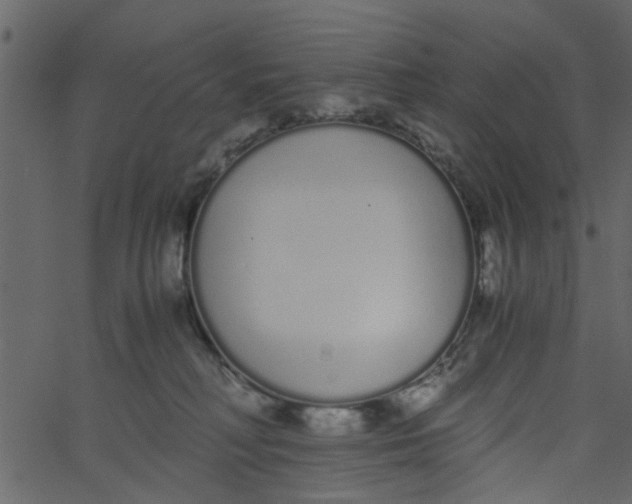 X0000062670230200601111252