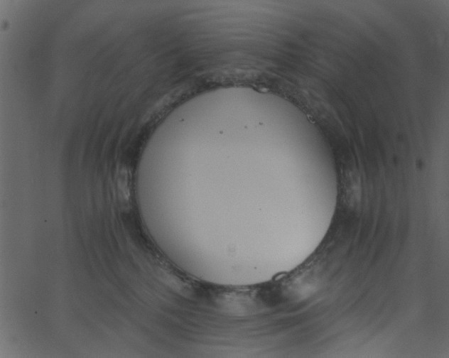 X0000062670232200601111252