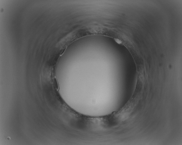 X0000062670233200601111252