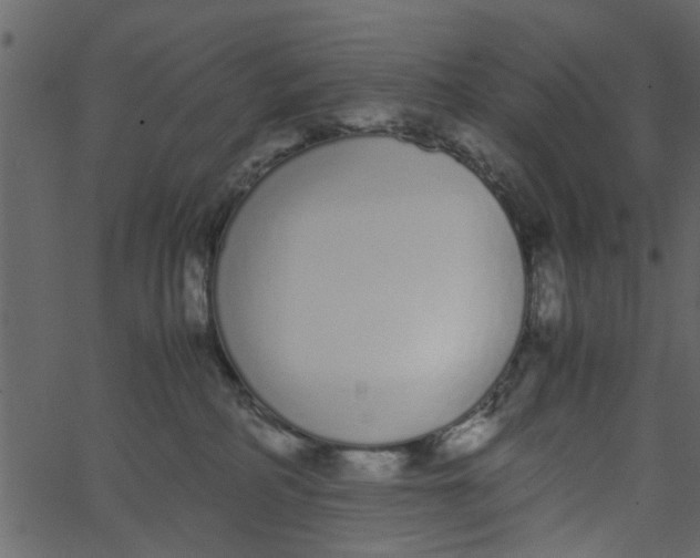 X0000062670234200601111252