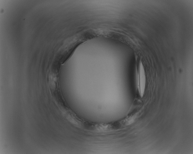 X0000062670235200601111252