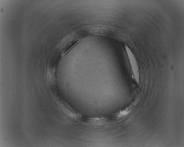 X0000062670239200601111252