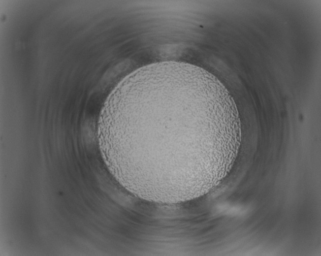 X0000062670240200601111252