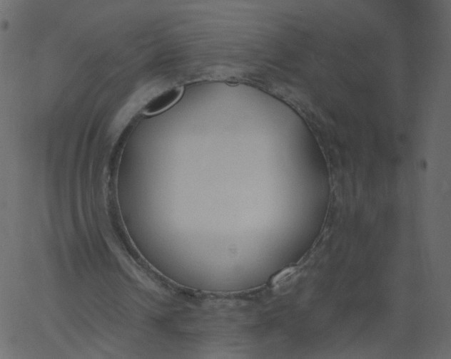 X0000062670242200601111251