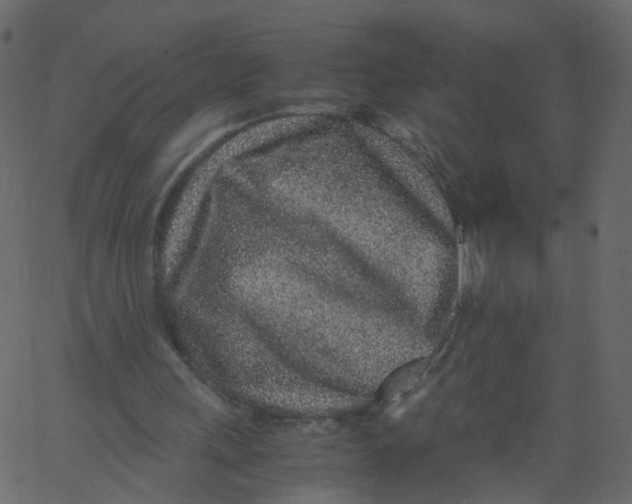 X0000062670243200601111251