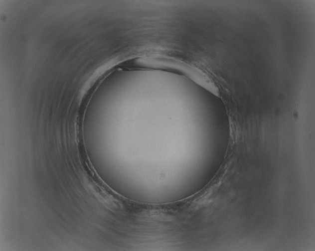 X0000062670244200601111251