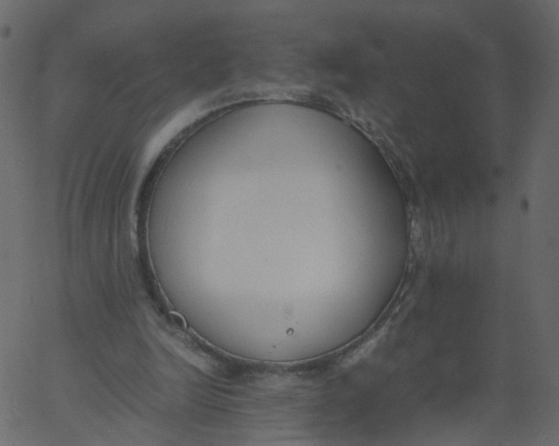 X0000062670246200601111251